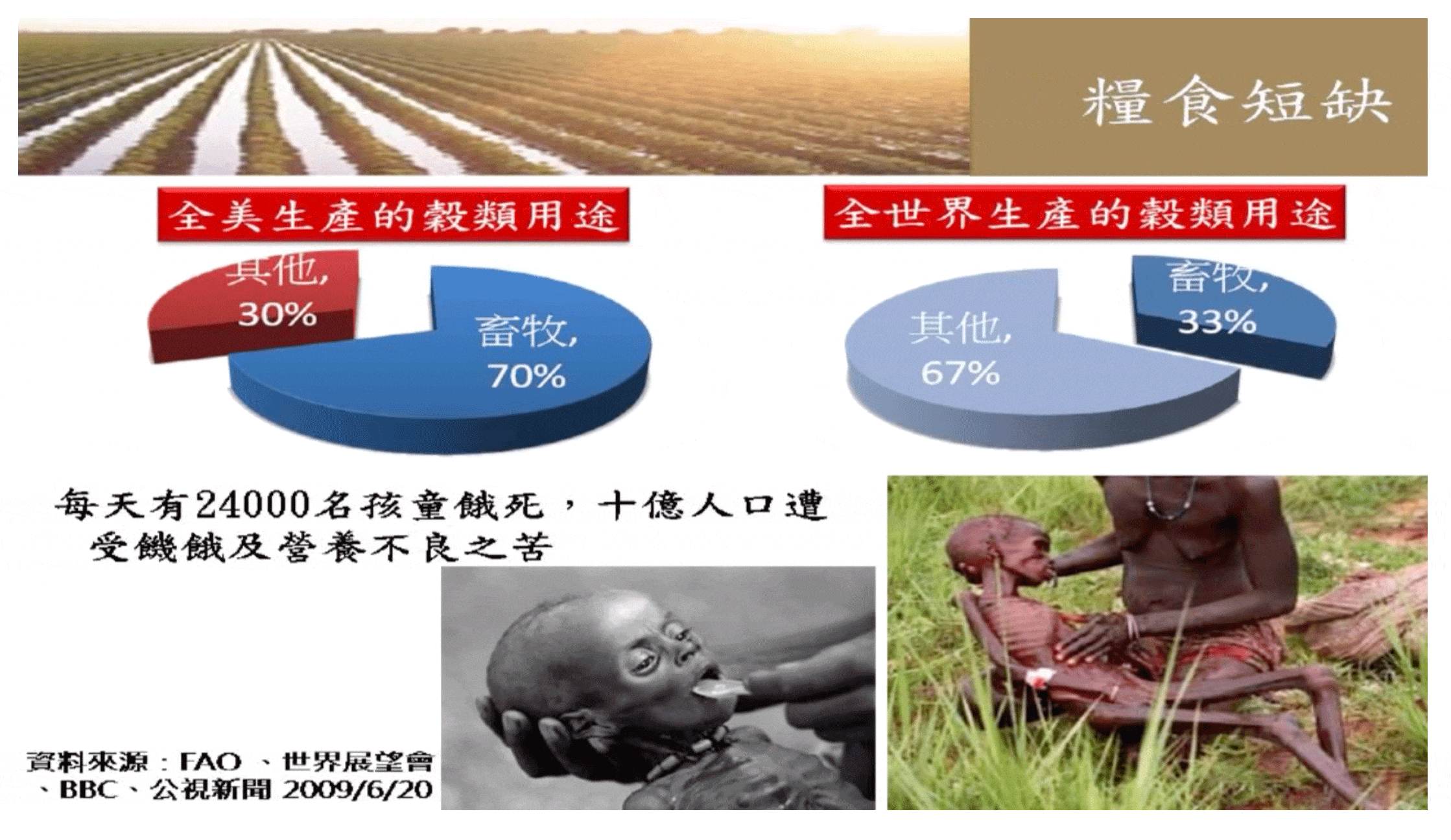 吃素 1天 = 救 20人不挨餓